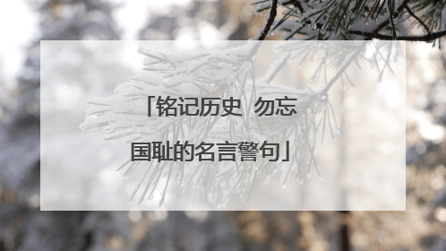 铭记历史 勿忘国耻的名言警句