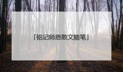 铭记师恩散文随笔