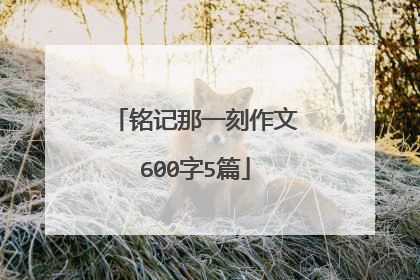 铭记那一刻作文600字5篇