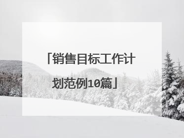 销售目标工作计划范例10篇