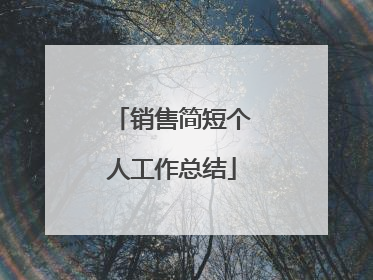 销售简短个人工作总结