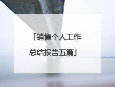 销售个人工作总结报告五篇