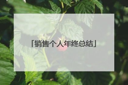 销售个人年终总结
