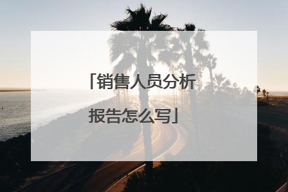 销售人员分析报告怎么写