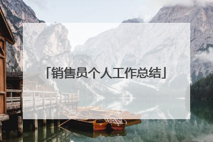 销售员个人工作总结