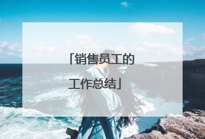 销售员工的工作总结