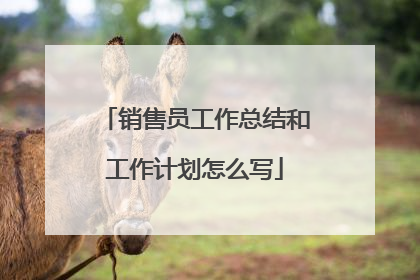 销售员工作总结和工作计划怎么写