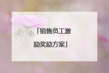 销售员工激励奖励方案