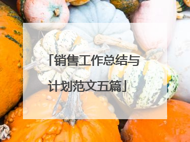 销售工作总结与计划范文五篇