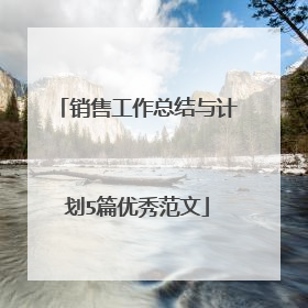 销售工作总结与计划5篇优秀范文