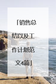 销售总结以及工作计划范文4篇