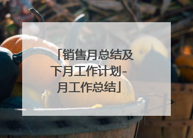 销售月总结及下月工作计划-月工作总结