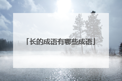 长的成语有哪些成语