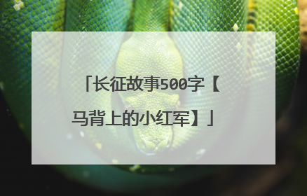 长征故事500字【马背上的小红军】