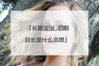 长路漫漫,道阻且长是什么意思