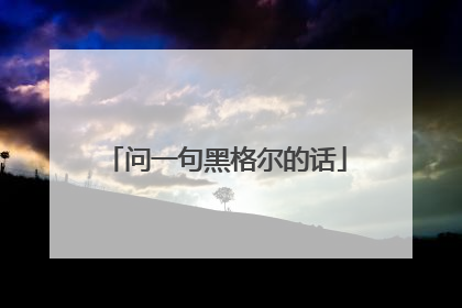 问一句黑格尔的话