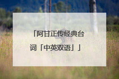 阿甘正传经典台词「中英双语」