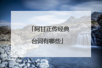 阿甘正传经典台词有哪些