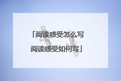 阅读感受怎么写 阅读感受如何写