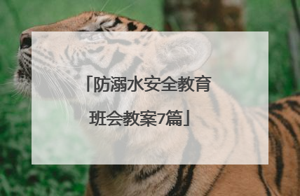 防溺水安全教育班会教案7篇