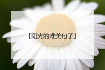 阳光的唯美句子