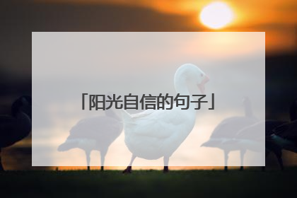 阳光自信的句子