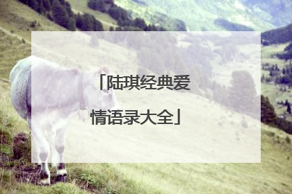 陆琪经典爱情语录大全