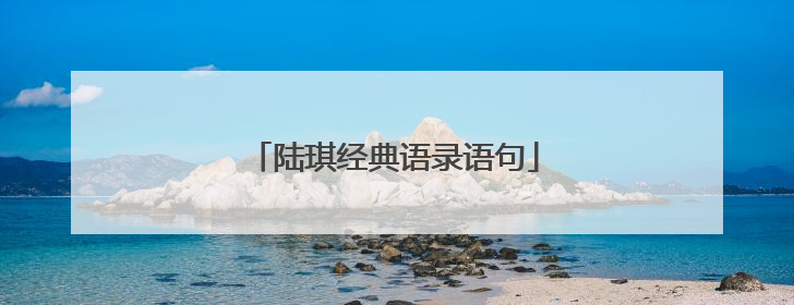 陆琪经典语录语句