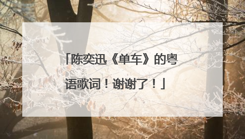 陈奕迅《单车》的粤语歌词!谢谢了!