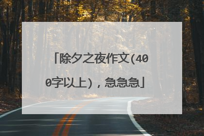 除夕之夜作文(400字以上)，急急急