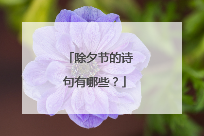 除夕节的诗句有哪些？