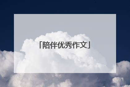 陪伴优秀作文