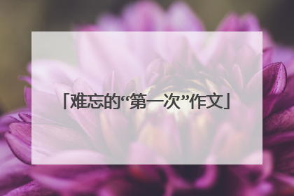 难忘的“第一次”作文
