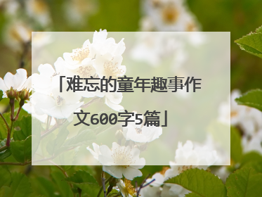 难忘的童年趣事作文600字5篇