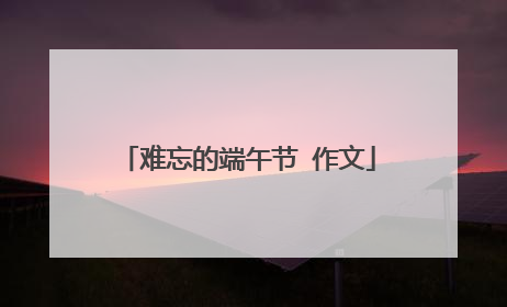 难忘的端午节 作文