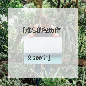 难忘的经历作文600字