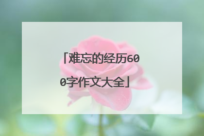 难忘的经历600字作文大全