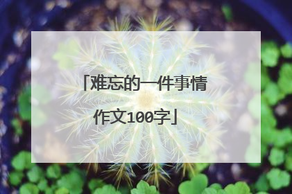 难忘的一件事情作文100字