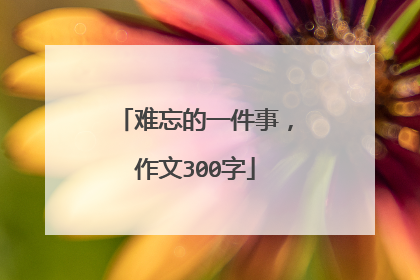 难忘的一件事，作文300字