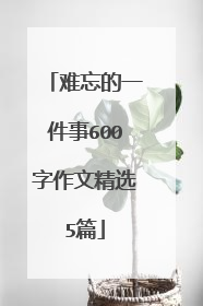 难忘的一件事600字作文精选5篇