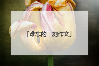 难忘的一刻作文