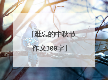 难忘的中秋节作文300字