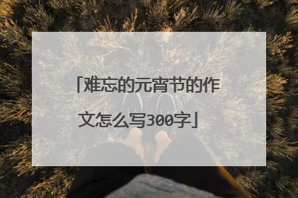 难忘的元宵节的作文怎么写300字