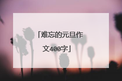 难忘的元旦作文400字