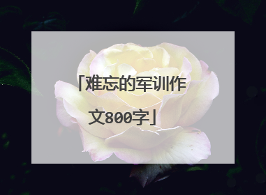 难忘的军训作文800字
