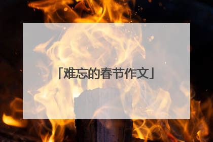 难忘的春节作文