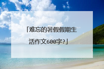 难忘的暑假假期生活作文600字?