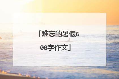 难忘的暑假600字作文