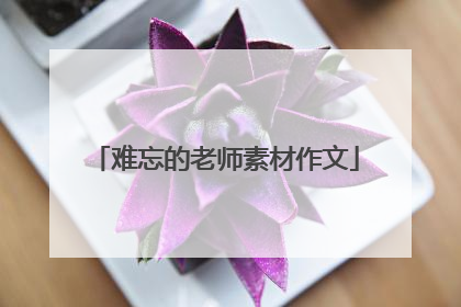 难忘的老师素材作文