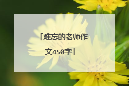 难忘的老师作文450字